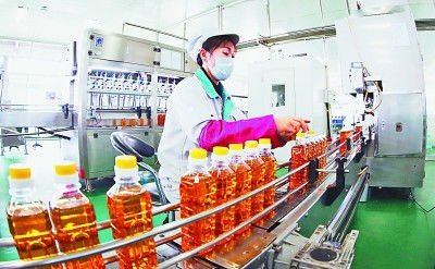 吉林 厚植黑土優勢，賦能農業升級，擘畫現代農業新藍圖
